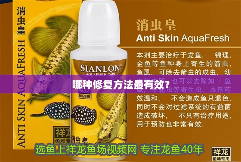 哪種修復方法最有效？