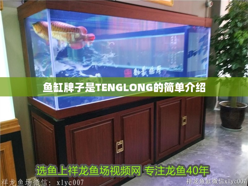 魚缸牌子是TENGLONG的簡單介紹