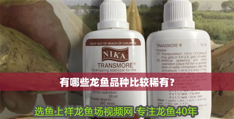 有哪些龍魚品種比較稀有？