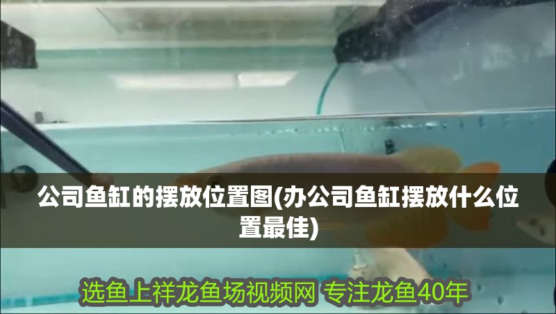 公司魚缸的擺放位置圖(辦公司魚缸擺放什么位置最佳)