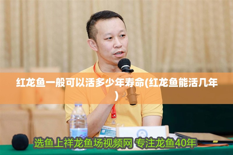 紅龍魚一般可以活多少年壽命(紅龍魚能活幾年)