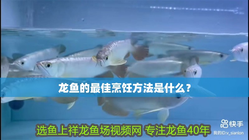 鸚鵡魚和銀龍魚混養怎樣喂食 龍魚的最佳烹飪方法是什么? 龍魚百科 龍魚的最佳烹飪方法是什么? 龍魚的最佳烹飪方法是什么? 龍魚百科