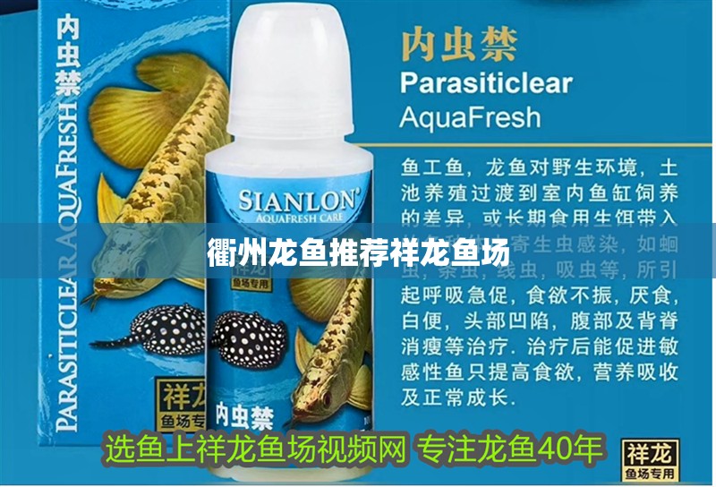 衢州龍魚推薦祥龍魚場