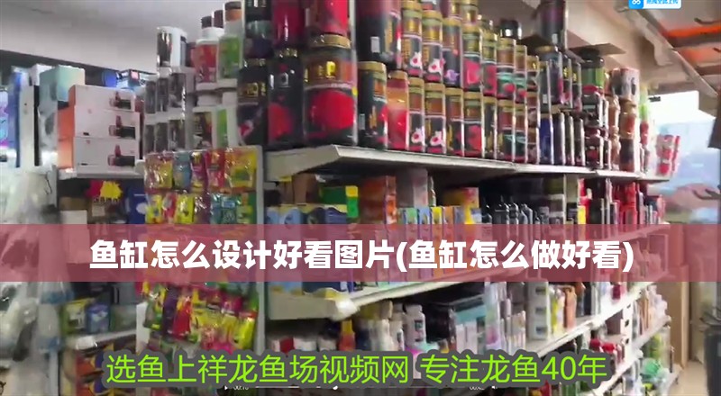 魚缸怎么設計好看圖片(魚缸怎么做好看)