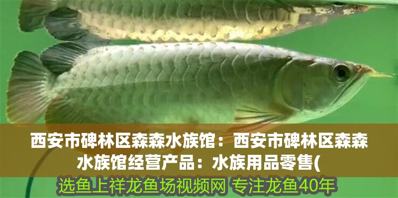 西安市碑林區森森水族館：西安市碑林區森森水族館經營產品：水族用品零售(