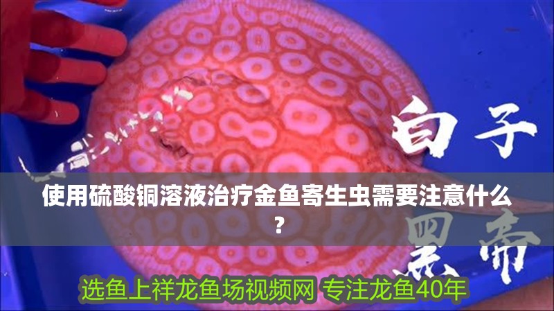 使用硫酸銅溶液治療金魚寄生蟲需要注意什么？