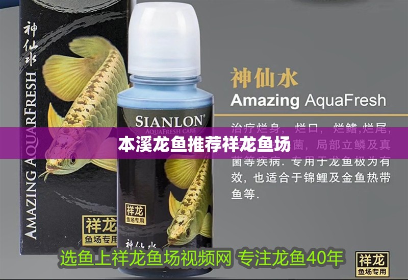 本溪龍魚推薦祥龍魚場