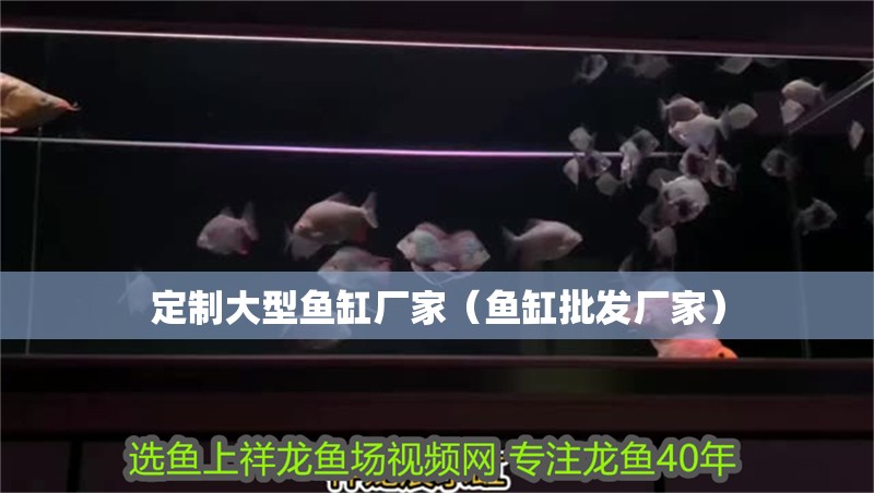 定制大型魚缸廠家（魚缸批發廠家）