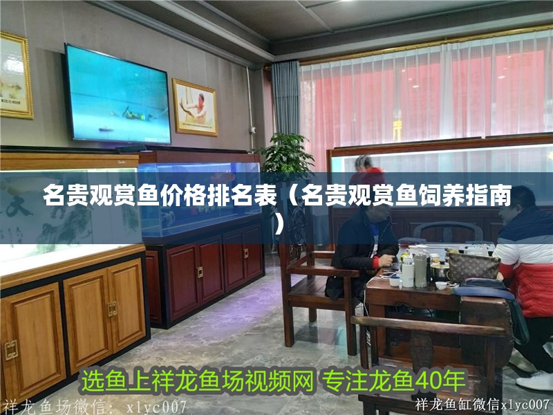 名貴觀賞魚價格排名表（名貴觀賞魚飼養指南）