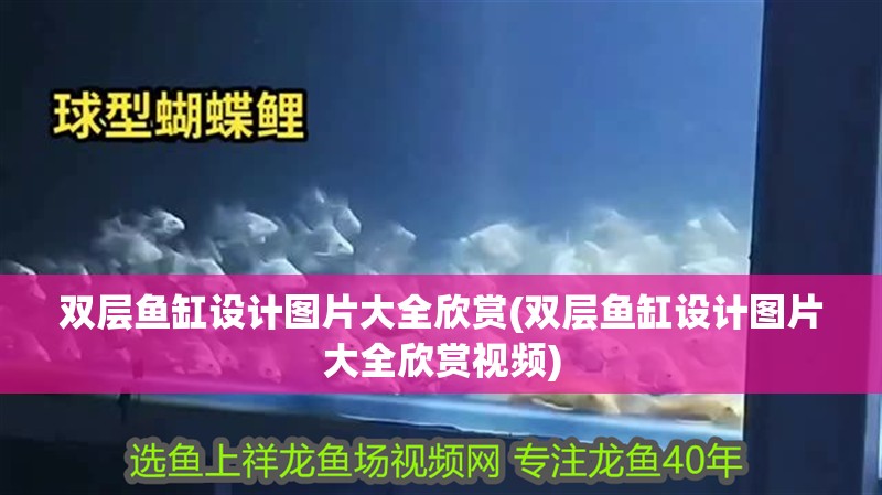 雙層魚缸設計圖片大全欣賞(雙層魚缸設計圖片大全欣賞視頻)