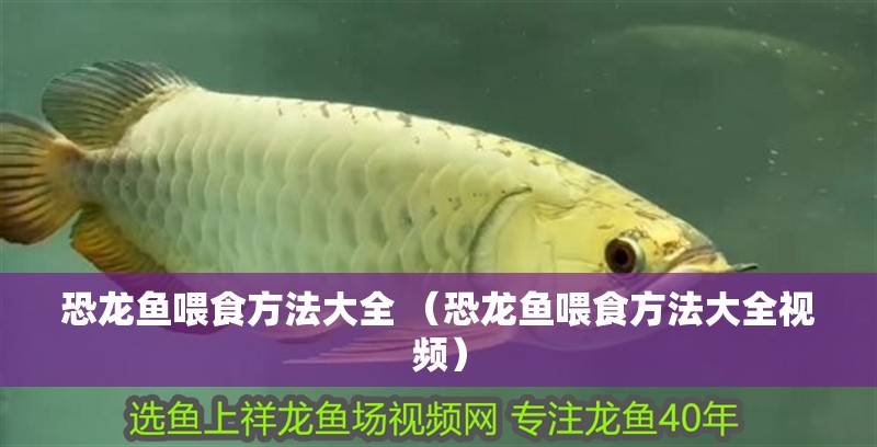 給大魚缸換水的作文:體驗給大魚缸換水的樂趣:體驗給大魚缸換水:給大魚缸換水的作文 恐龍魚喂食方法大全 (恐龍魚喂食方法大全視頻) 觀賞魚百科 恐龍魚喂食方法大全 (恐龍魚喂食方法大全視頻) 恐龍魚喂食方法大全 (恐龍魚喂食方法大全視頻) 觀賞魚百科