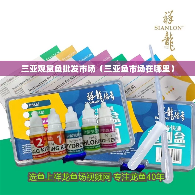 三亞觀賞魚批發市場（三亞魚市場在哪里）