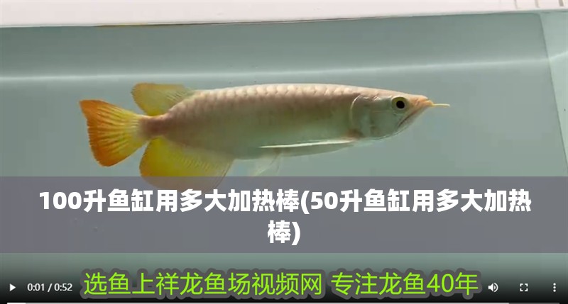 100升魚缸用多大加熱棒(50升魚缸用多大加熱棒)