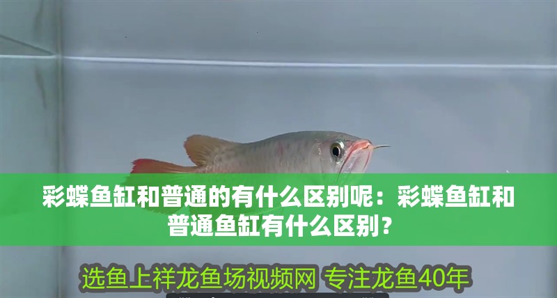 彩蝶魚缸和普通的有什么區別呢：彩蝶魚缸和普通魚缸有什么區別？