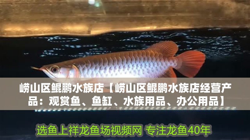 嶗山區鯤鵬水族店【嶗山區鯤鵬水族店經營產品：觀賞魚、魚缸、水族用品、辦公用品】