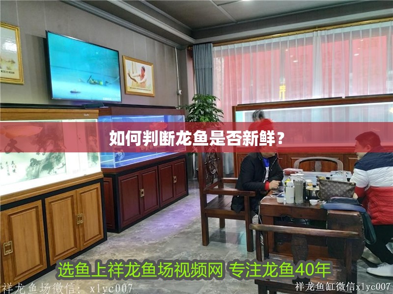 如何判斷龍魚是否新鮮？