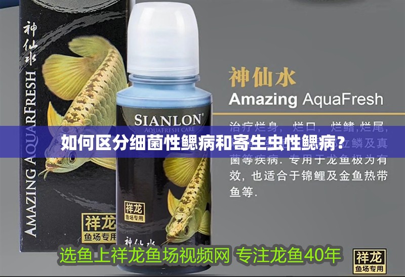 如何區分細菌性鰓病和寄生蟲性鰓病？