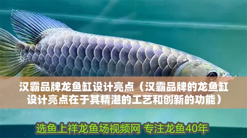 漢霸品牌龍魚缸設(shè)計亮點（漢霸品牌的龍魚缸設(shè)計亮點在于其精湛的工藝和創(chuàng)新的功能）