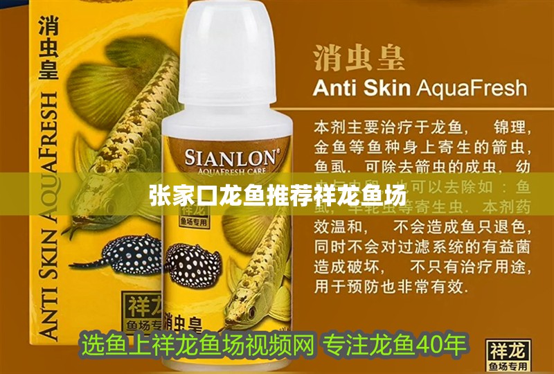 張家口龍魚推薦祥龍魚場