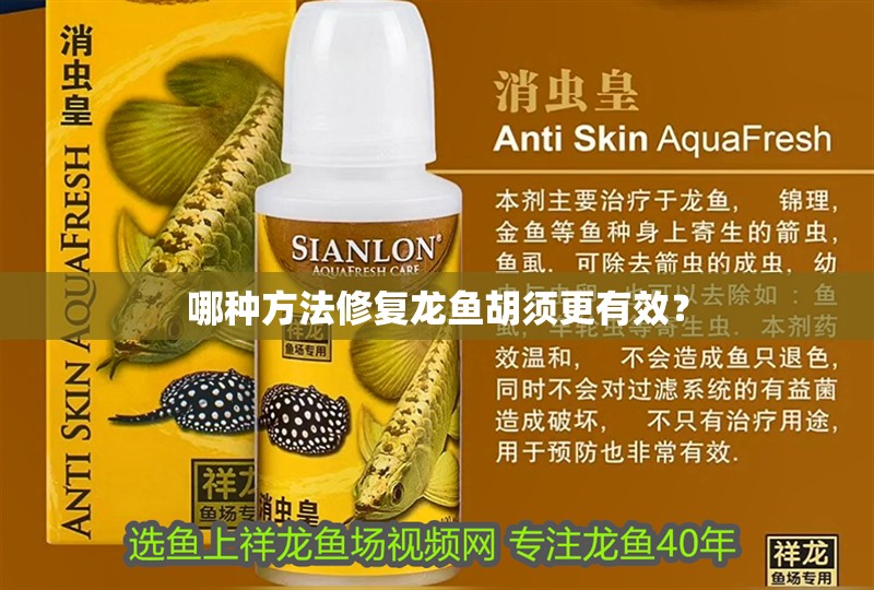 哪種方法修復龍魚胡須更有效？
