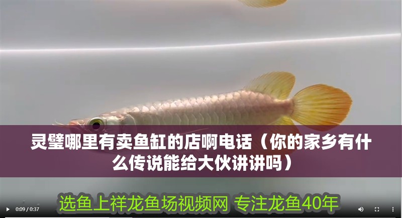 靈璧哪里有賣魚缸的店啊電話（你的家鄉有什么傳說能給大伙講講嗎）
