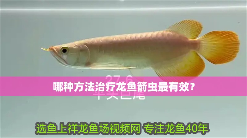 哪種方法治療龍魚箭蟲最有效？