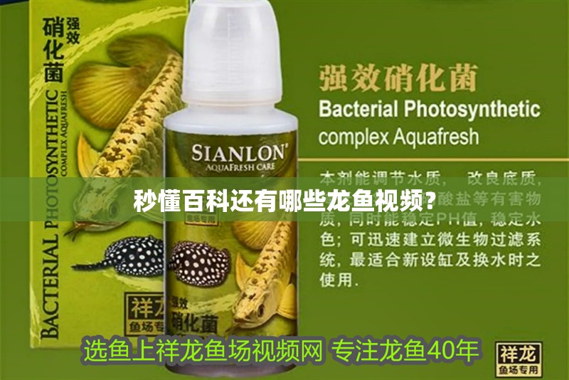 秒懂百科還有哪些龍魚視頻？