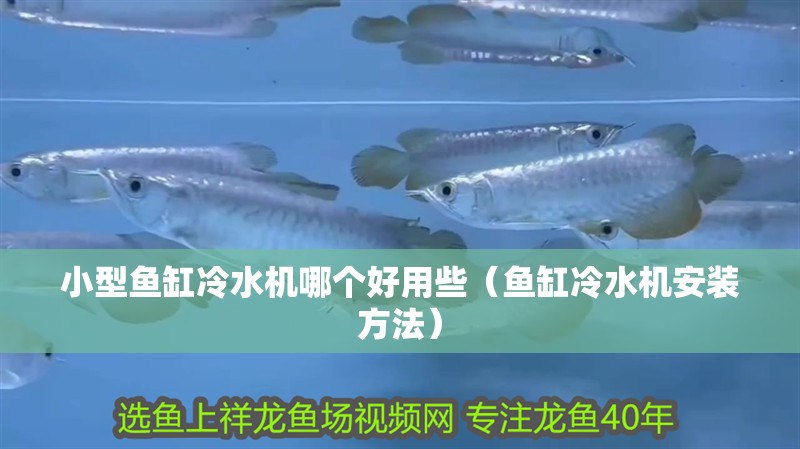 小型魚缸冷水機哪個好用些（魚缸冷水機安裝方法）