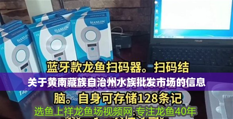 關于黃南藏族自治州水族批發市場的信息