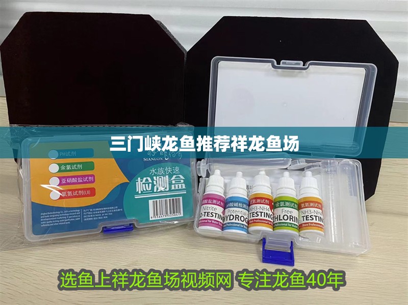 三門峽龍魚推薦祥龍魚場(chǎng)