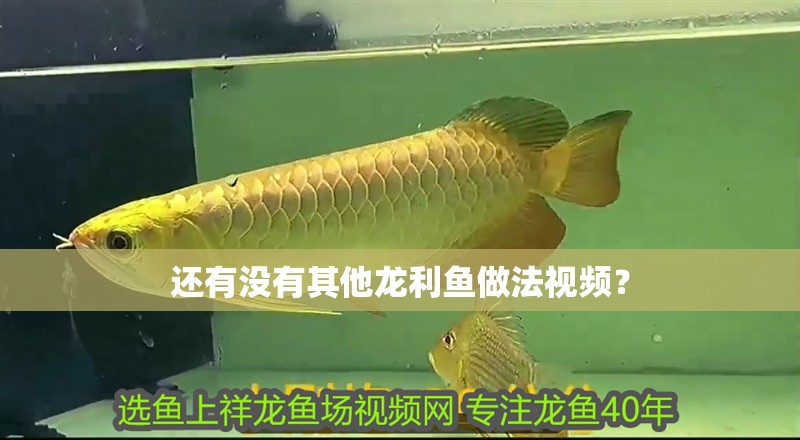 還有沒有其他龍利魚做法視頻？