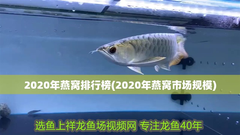 2020年燕窩排行榜(2020年燕窩市場規(guī)模)