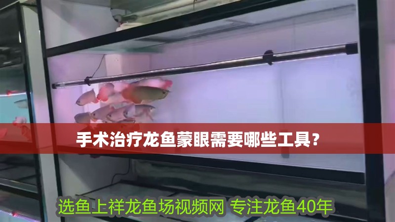 手術治療龍魚蒙眼需要哪些工具？