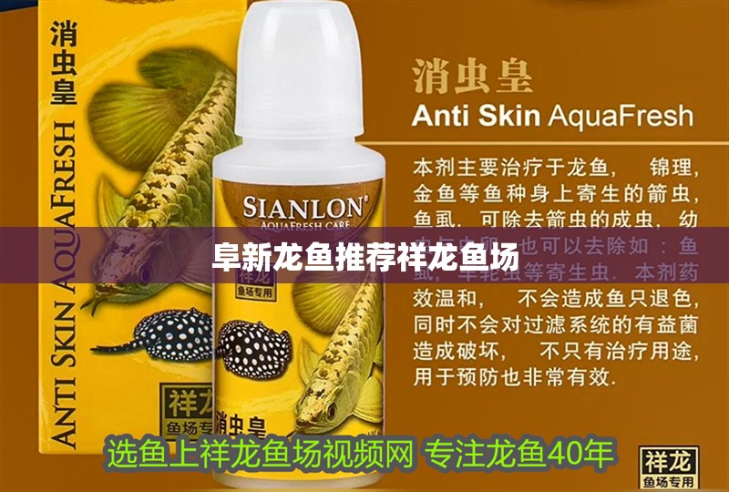 阜新龍魚推薦祥龍魚場(chǎng)