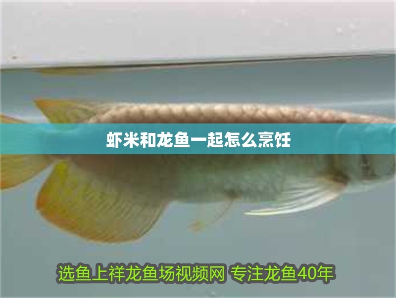 蝦米和龍魚一起怎么烹飪