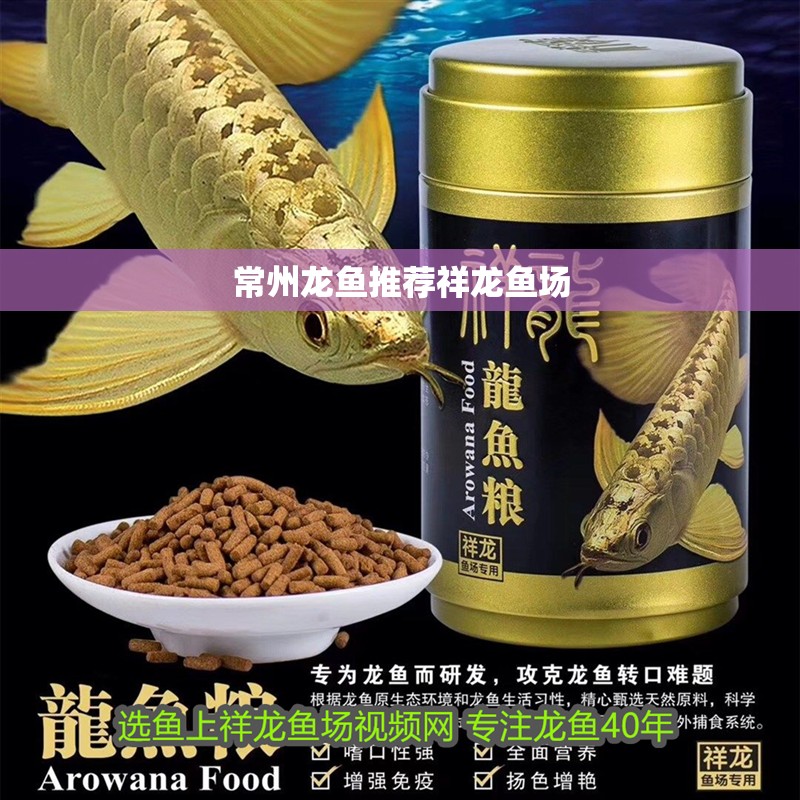 常州龍魚推薦祥龍魚場(chǎng)