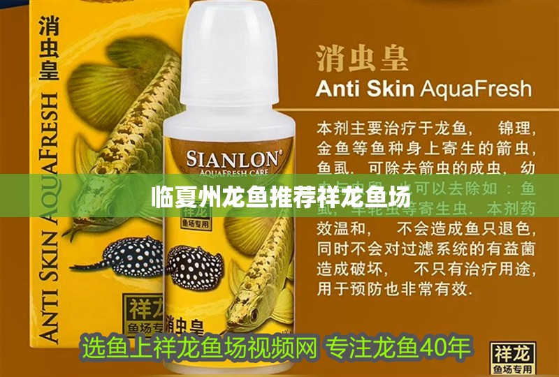 臨夏州龍魚推薦祥龍魚場