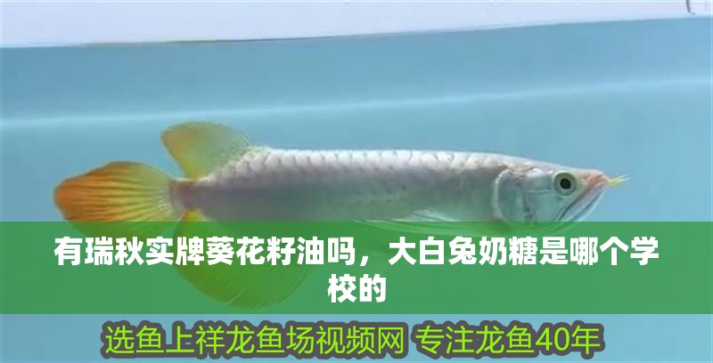 有瑞秋實牌葵花籽油嗎，大白兔奶糖是哪個學校的