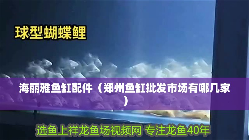 海麗雅魚缸配件（鄭州魚缸批發市場有哪幾家）