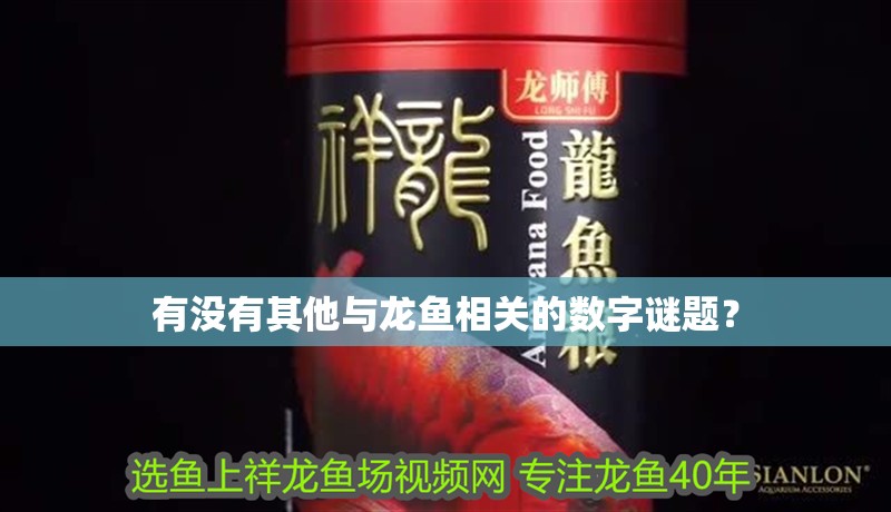 有沒有其他與龍魚相關的數字謎題？