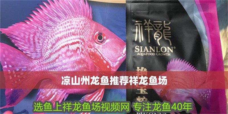 涼山州龍魚推薦祥龍魚場(chǎng)