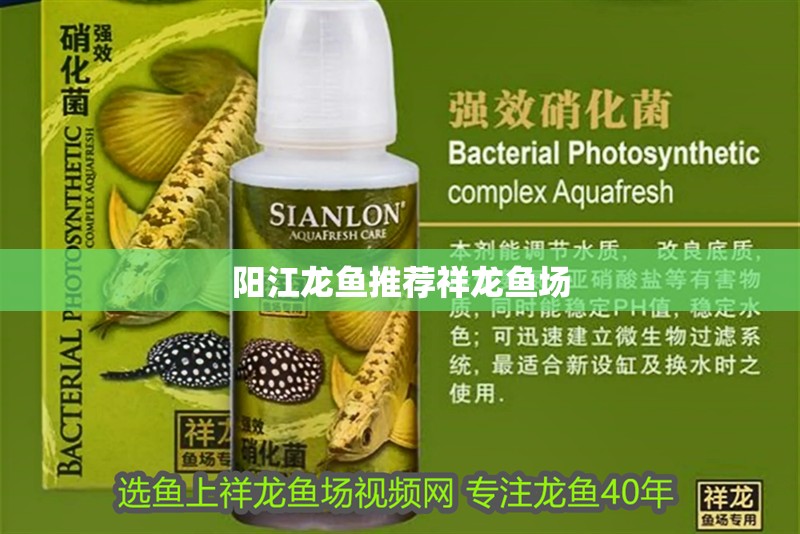 陽江龍魚推薦祥龍魚場