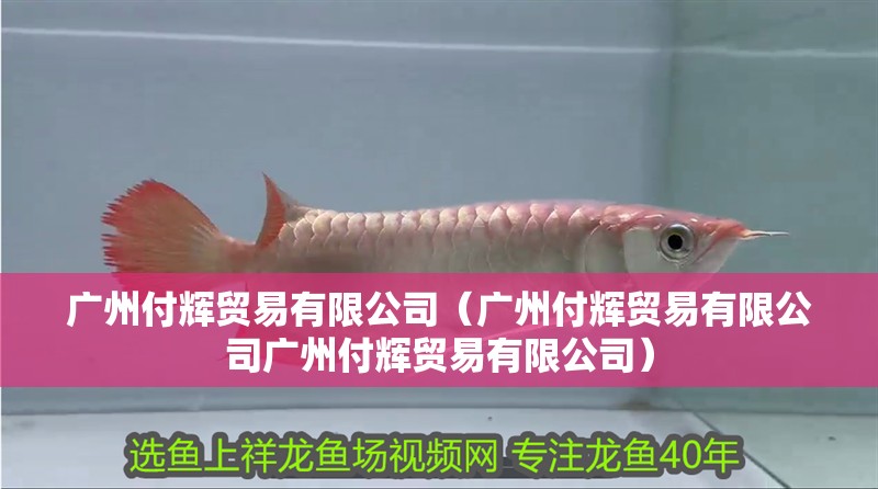 廣州付輝貿易有限公司（廣州付輝貿易有限公司廣州付輝貿易有限公司）