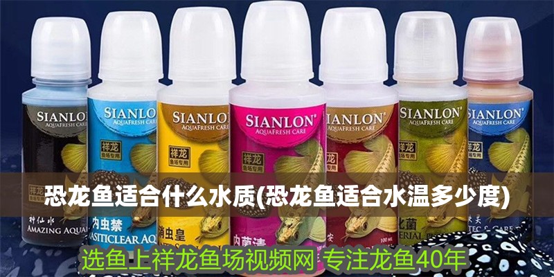 恐龍魚(yú)適合什么水質(zhì)(恐龍魚(yú)適合水溫多少度)