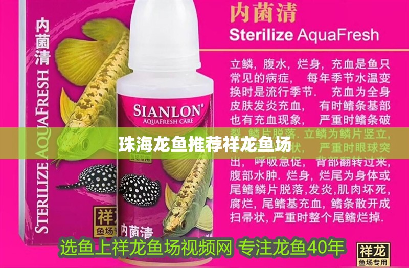 珠海龍魚(yú)推薦祥龍魚(yú)場(chǎng)