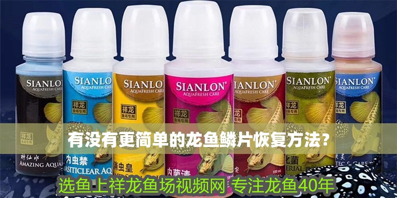 有沒有更簡單的龍魚鱗片恢復方法？