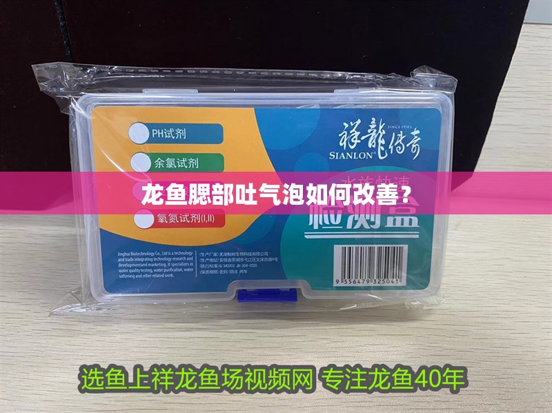 龍魚腮部吐氣泡如何改善？