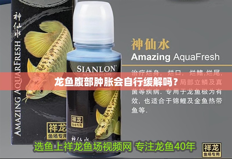 龍魚腹部腫脹會自行緩解嗎？