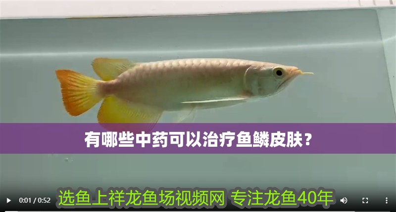 有哪些中藥可以治療魚鱗皮膚？