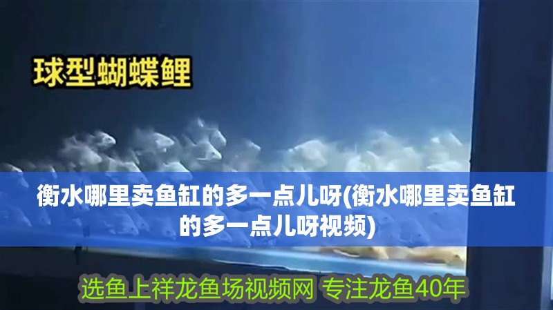 衡水哪里賣魚缸的多一點兒呀(衡水哪里賣魚缸的多一點兒呀視頻)